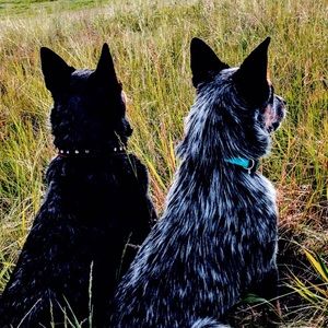 Meet your Posher, Christin